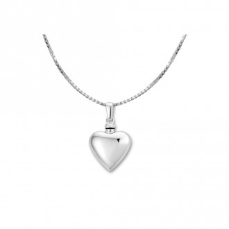 Zilveren as hanger | Zilveren as sieraad